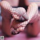 A close up of a person's hands in fishnet stockings.